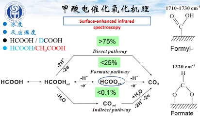 �����߻����������о���չ